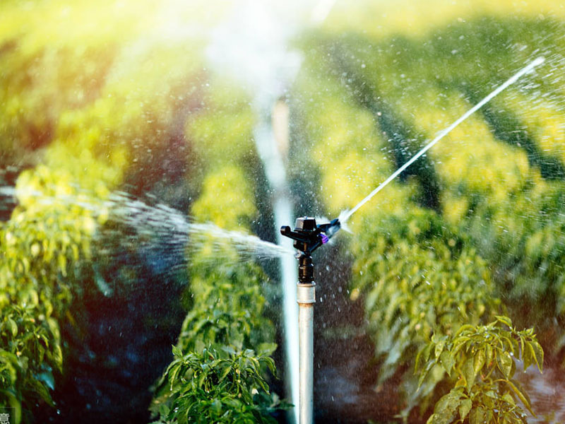 1687518458109470.jpg 1687518458109470.jpg